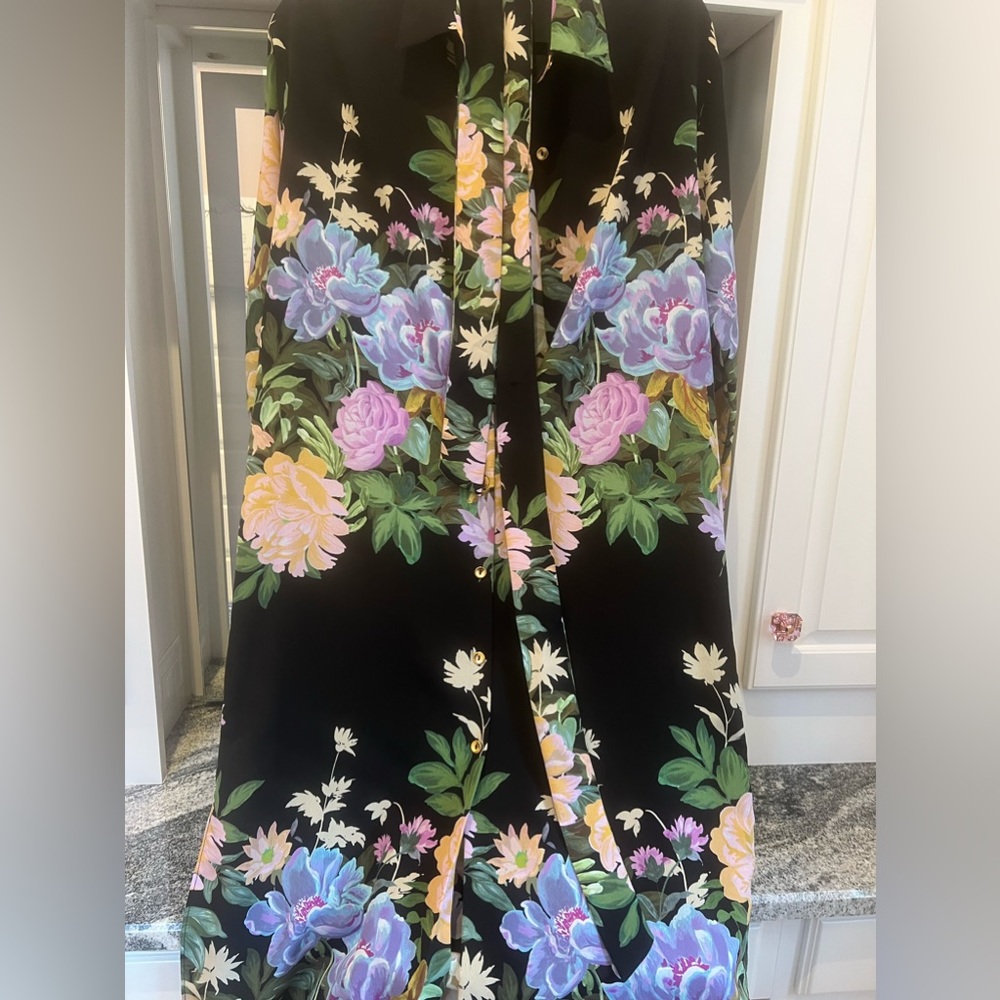 Zara button down dress